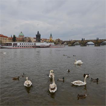 Parník Vyšehrad - zahajovací plavba 2013