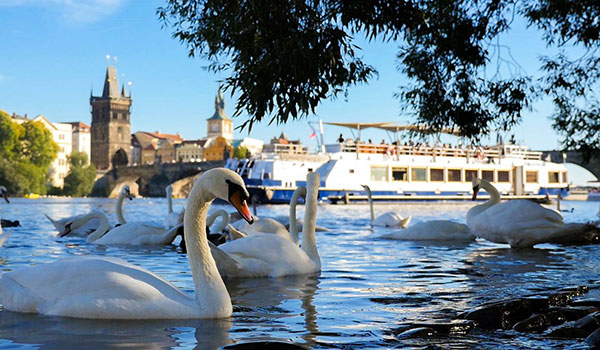 Einstündige Schifffahrt auf der Moldau