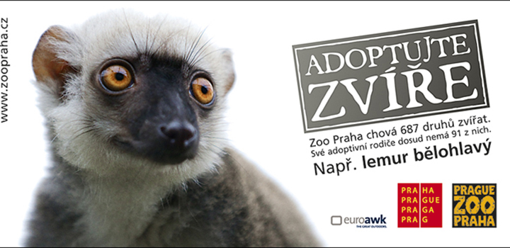 Evropská vodní doprava adoptivním rodičem lemura bělohlavého